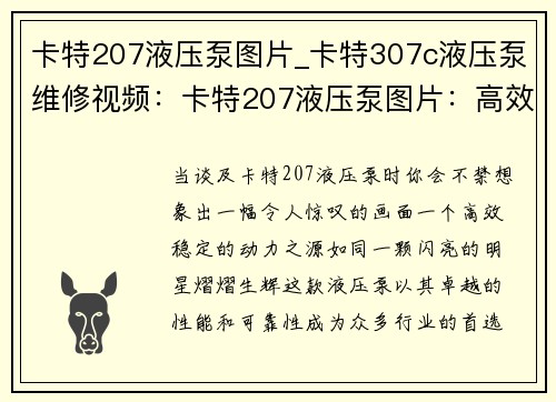 卡特207液压泵图片_卡特307c液压泵维修视频：卡特207液压泵图片：高效稳定的动力之源