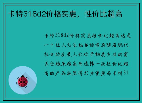 卡特318d2价格实惠，性价比超高