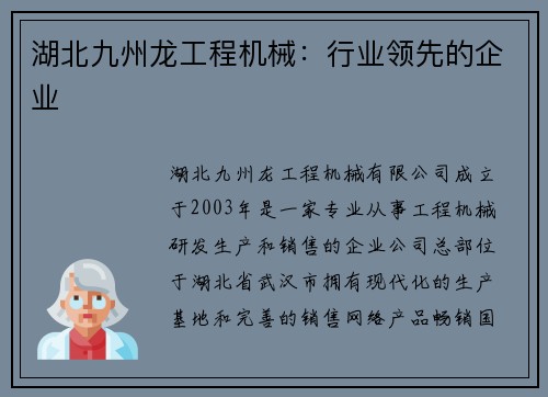 湖北九州龙工程机械：行业领先的企业